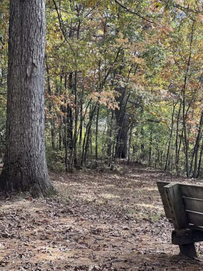 Powell Lake Township Park - Oxford, MI
