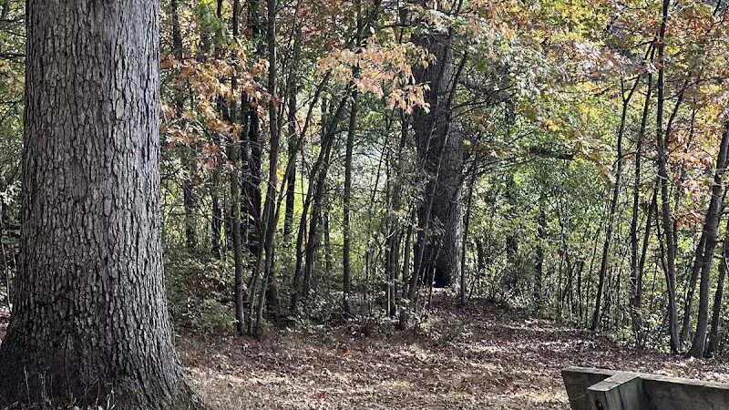 Powell Lake Township Park - Oxford, MI
