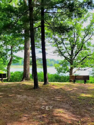 Powell Lake Township Park - Oxford, MI