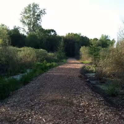 Seymour Lake Township Park - Oxford, MI