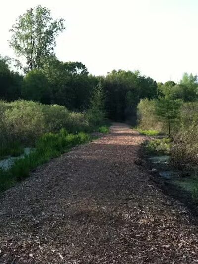 Seymour Lake Township Park - Oxford, MI