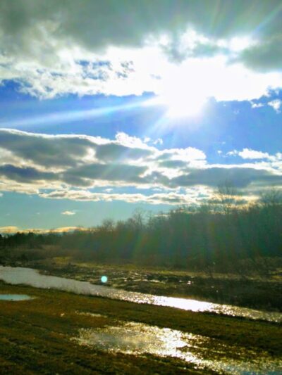 Bell Acres Park - Oxon Hill, MD