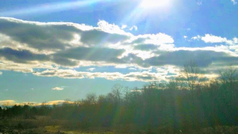 Bell Acres Park - Oxon Hill, MD