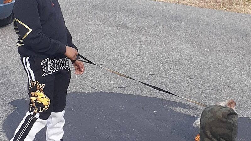 Bell Acres Park - Oxon Hill, MD