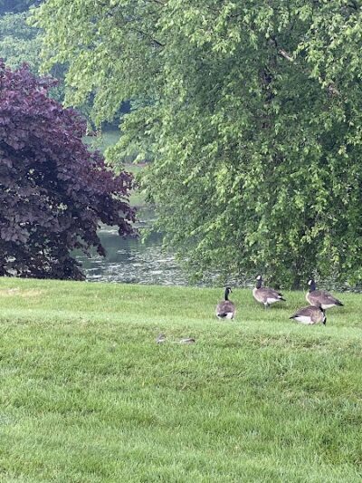 Betty Blume Park - Oxon Hill, MD