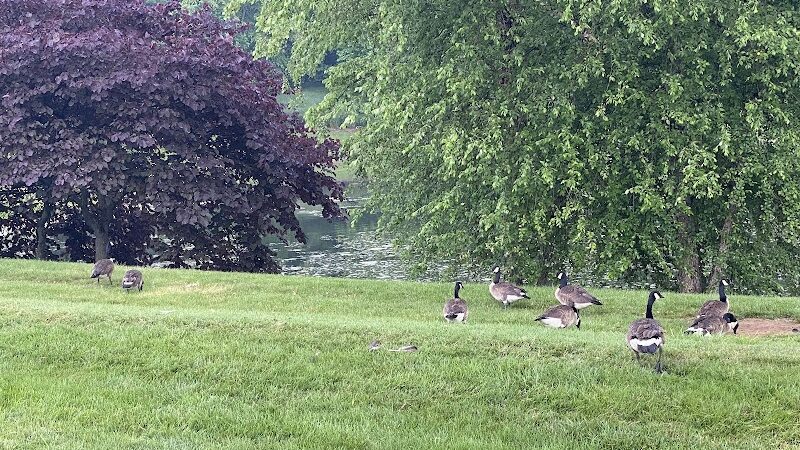 Betty Blume Park - Oxon Hill, MD