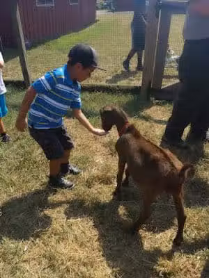 Oxon Cove Park & Oxon Hill Farm - Oxon Hill, MD