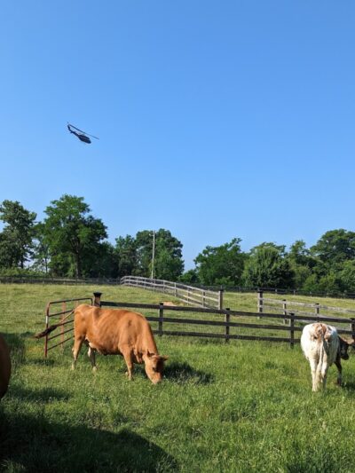Oxon Cove Park & Oxon Hill Farm - Oxon Hill, MD