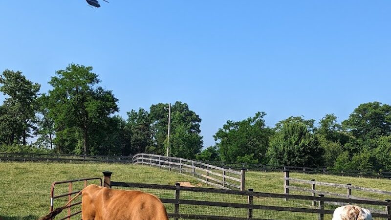 Oxon Cove Park & Oxon Hill Farm - Oxon Hill, MD