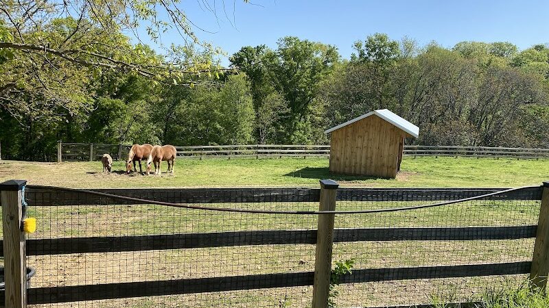 Oxon Cove Park & Oxon Hill Farm - Oxon Hill, MD