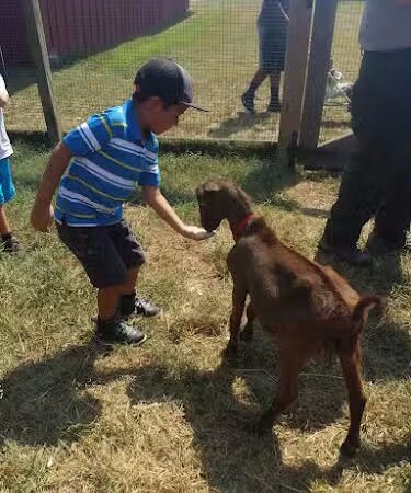 Oxon Cove Park & Oxon Hill Farm - Oxon Hill, MD