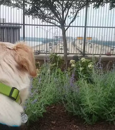 Potomac River Waterfront Park - Oxon Hill, MD