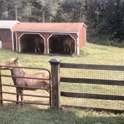 Oxon Cove Park & Oxon Hill Farm - Oxon Hill, MD