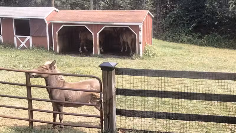 Oxon Cove Park & Oxon Hill Farm - Oxon Hill, MD