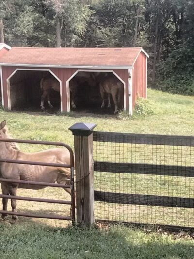 Oxon Cove Park & Oxon Hill Farm - Oxon Hill, MD