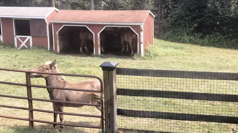 Oxon Cove Park & Oxon Hill Farm - Oxon Hill, MD
