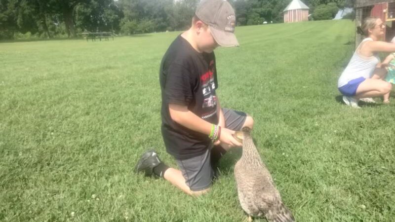 Oxon Cove Park & Oxon Hill Farm - Oxon Hill, MD