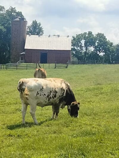Oxon Cove Park & Oxon Hill Farm - Oxon Hill, MD