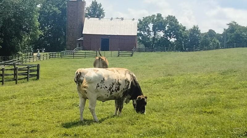 Oxon Cove Park & Oxon Hill Farm - Oxon Hill, MD