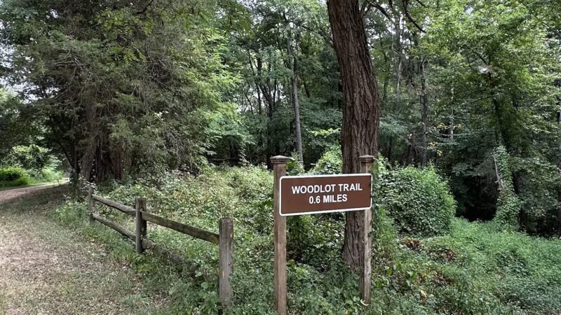 Oxon Hill Oxon Cove Trail - Oxon Hill, MD