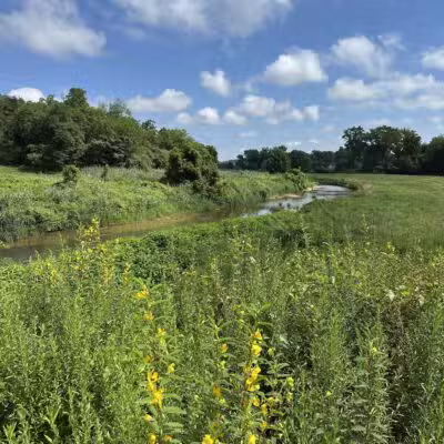 Oxon Hill Oxon Cove Trail - Oxon Hill, MD