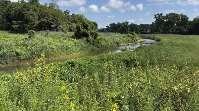Oxon Hill Oxon Cove Trail - Oxon Hill, MD