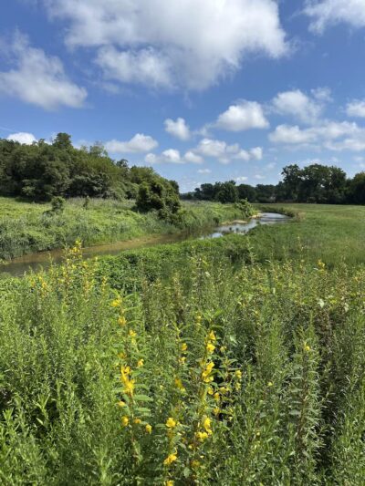 Oxon Hill Oxon Cove Trail - Oxon Hill, MD