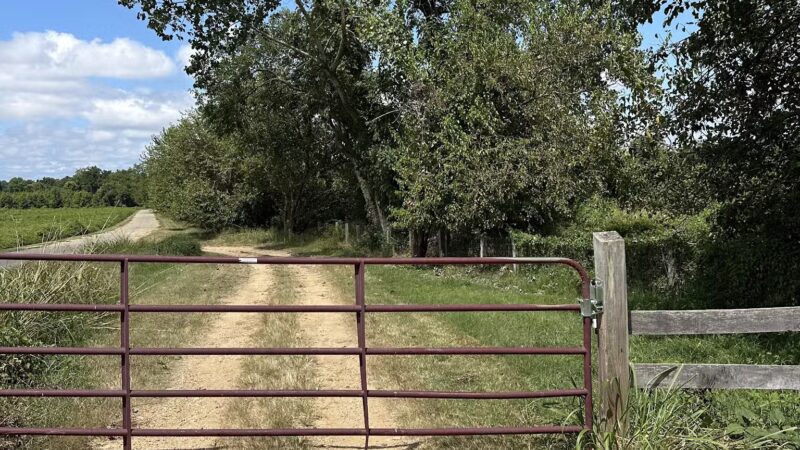 Oxon Hill Oxon Cove Trail - Oxon Hill, MD