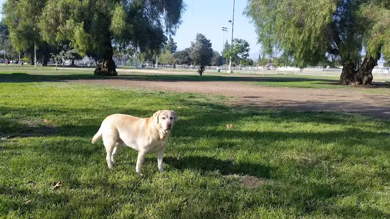 Branford Park - Pacoima, CA