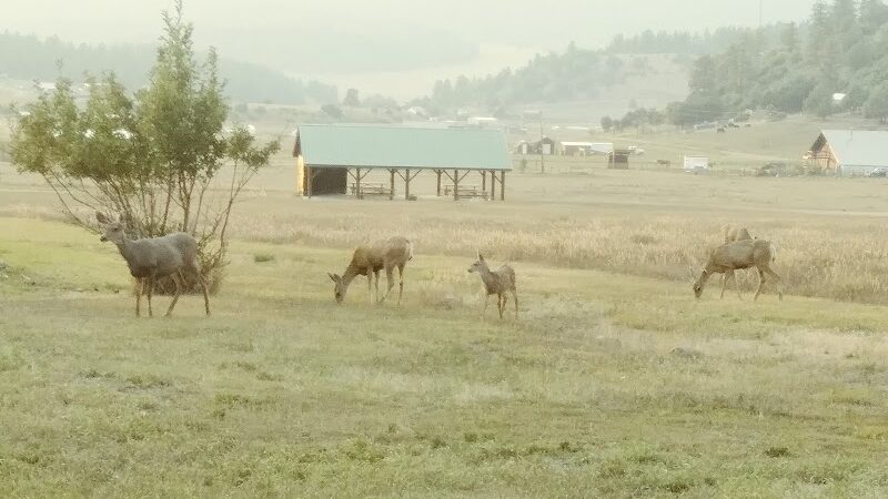 Ute Dr Park - Pagosa Springs, CO
