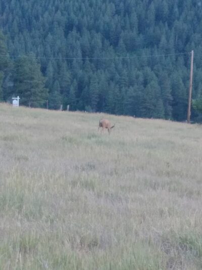 Ute Dr Park - Pagosa Springs, CO