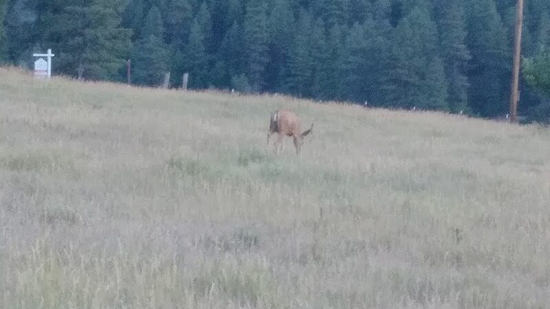 Ute Dr Park - Pagosa Springs, CO