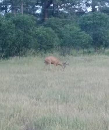 Ute Dr Park - Pagosa Springs, CO