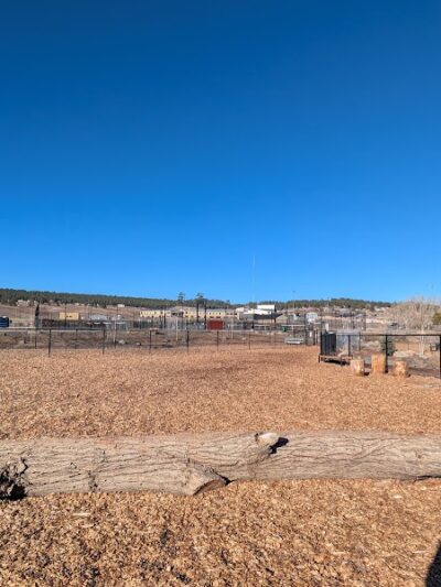Yamaguchi Public Dog Park - Pagosa Springs, CO