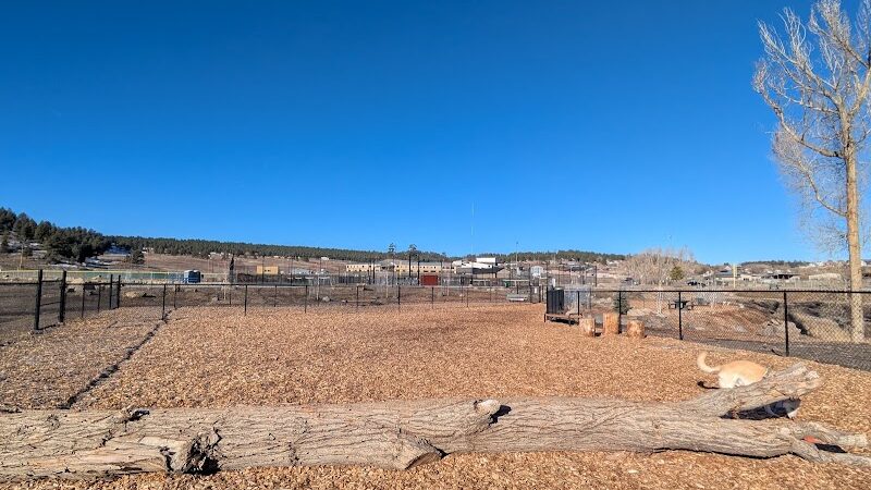Yamaguchi Public Dog Park - Pagosa Springs, CO
