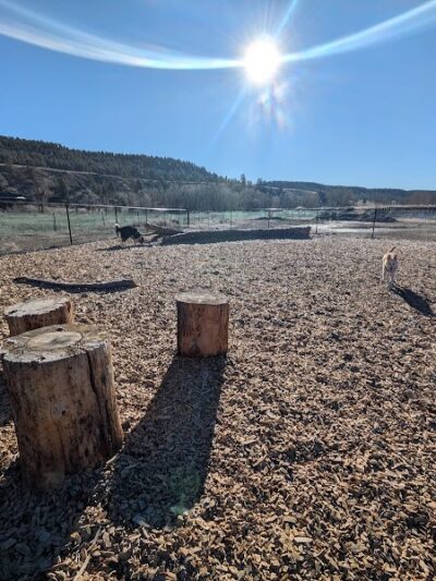 Yamaguchi Public Dog Park - Pagosa Springs, CO