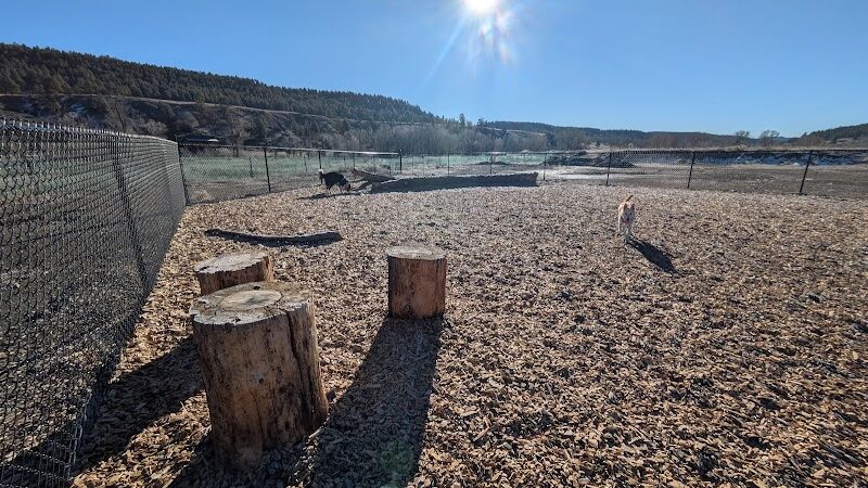 Yamaguchi Public Dog Park - Pagosa Springs, CO