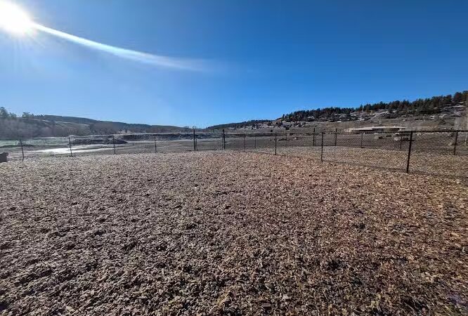 Yamaguchi Public Dog Park - Pagosa Springs, CO