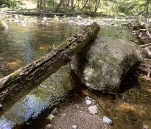 Palermo Preserve - Palermo, ME