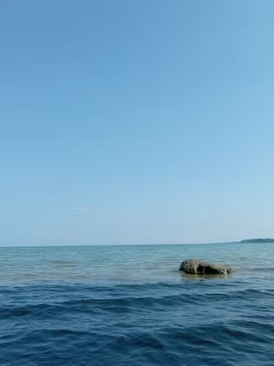 Delaware Park - Palms, MI