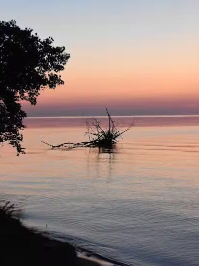 Delaware Park - Palms, MI