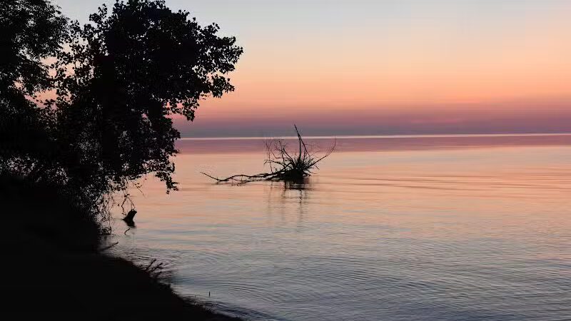 Delaware Park - Palms, MI