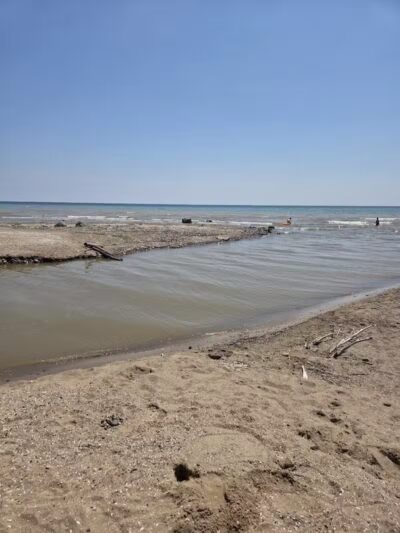 Delaware Park - Palms, MI