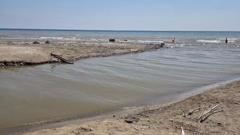 Delaware Park - Palms, MI