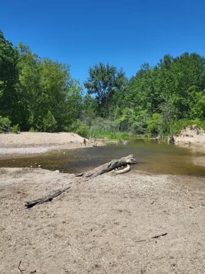 Delaware Park - Palms, MI