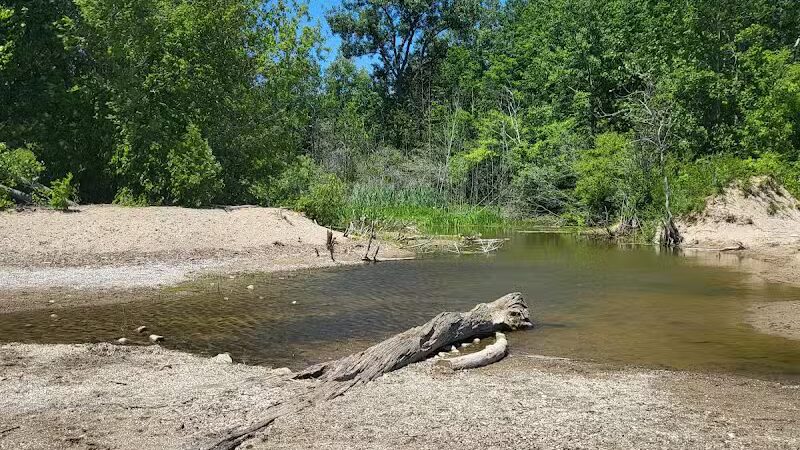Delaware Park - Palms, MI