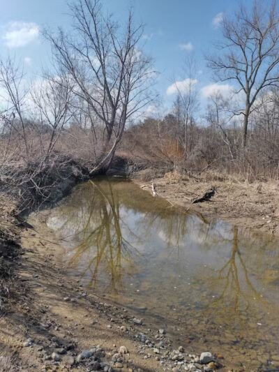 Delaware Park - Palms, MI