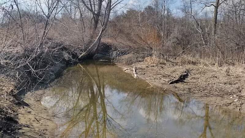 Delaware Park - Palms, MI