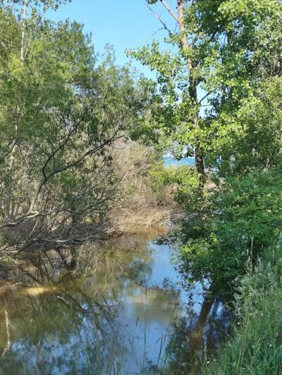 Delaware Park - Palms, MI