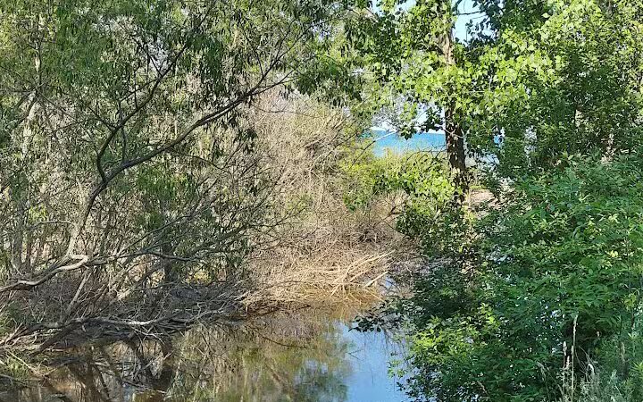 Delaware Park - Palms, MI